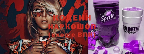 молекула духа Пересвет
